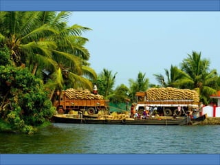 The Water World - Kerala, Kumarakom, Aleppey, Kochi