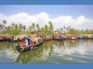 The Water World - Kerala, Kumarakom, Aleppey, Kochi