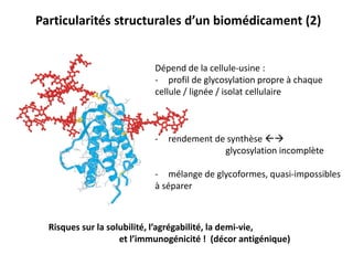 Dépend de la cellule-usine :
- profil de glycosylation propre à chaque
cellule / lignée / isolat cellulaire
- rendement de synthèse 
glycosylation incomplète
- mélange de glycoformes, quasi-impossibles
à séparer
Risques sur la solubilité, l’agrégabilité, la demi-vie,
et l’immunogénicité ! (décor antigénique)
Particularités structurales d’un biomédicament (2)
 