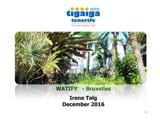 1
WATIFY - Bruxelles
Irene Talg
December 2016
 