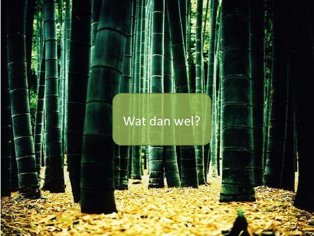 Wat Is Het Antwoord Op De Crisis Van