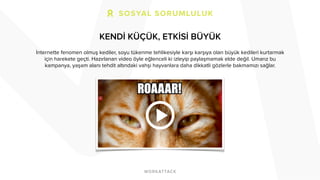 KENDİ KÜÇÜK, ETKİSİ BÜYÜK 
İnternette fenomen olmuş kediler, soyu tükenme tehlikesiyle karşı karşıya olan büyük kedileri kurtarmak 
için harekete geçti. Hazırlanan video öyle eğlenceli ki izleyip paylaşmamak elde değil. Umarız bu 
kampanya, yaşam alanı tehdit altındaki vahşi hayvanlara daha dikkatli gözlerle bakmamızı sağlar. 
 