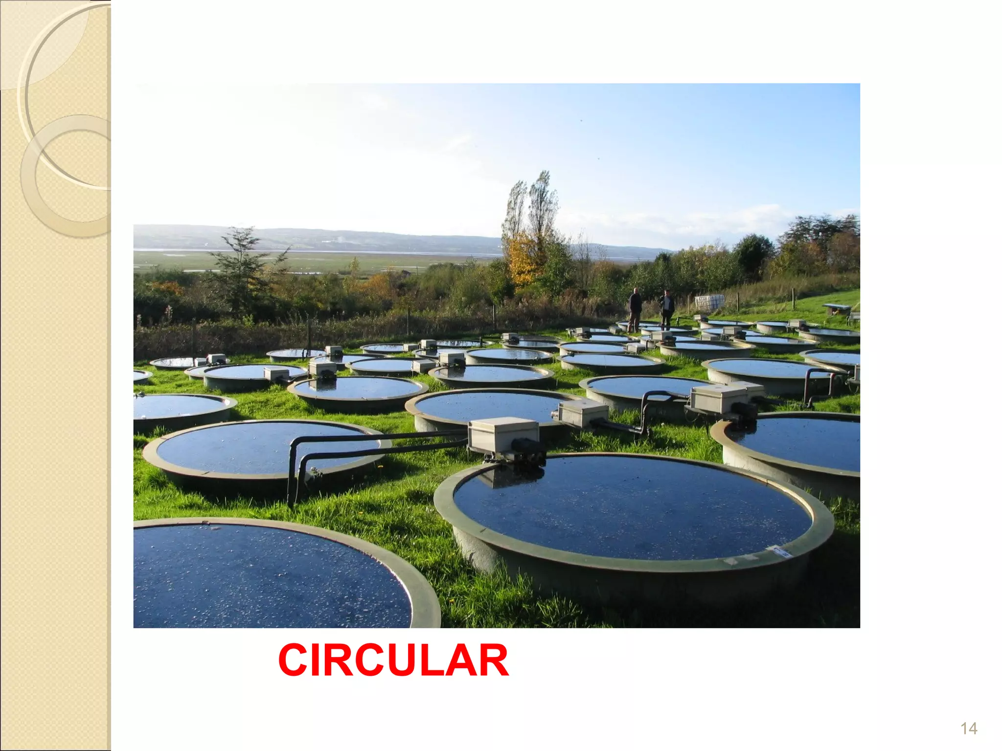 Stucture Design of various Watre tank | PPT
