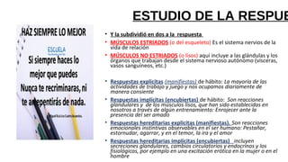 ESTUDIO DE LA RESPUE
• Y la subdividió en dos a la respuesta
• MÚSCULOS ESTRIADOS (o del esqueleto) Es el sistema nervios de la
vida de relación
• MÚSCULOS NO ESTRIADOS (o lisos) aquí incluye a las glándulas y los
órganos que trabajan desde el sistema nervioso autónomo (vísceras,
vasos sanguíneos, etc.)
• Respuestas explicitas (manifiestas) de hábito: La mayoría de las
actividades de trabajo y juego y nos ocupamos diariamente de
manera consiente
• Respuestas implícitas (encubiertas) de hábito: Son reacciones
glandulares y de los músculos lisos, que han sido establecidas en
nosotros a través de algún entrenamiento: Enrojecer ante la
presencia del ser amado
• Respuestas hereditarias explicitas (manifiestas). Son reacciones
emocionales instintivas observables en el ser humano: Pestañar,
estornudar, agarrar, y en el temor, la ira y el amor
• Respuestas hereditarias implícitas (encubiertas) incluyen
secreciones glandulares, cambios circulatorios y endocrinos y los
fisiológicos, por ejemplo en una excitación erótica en la mujer o en el
hombre
 