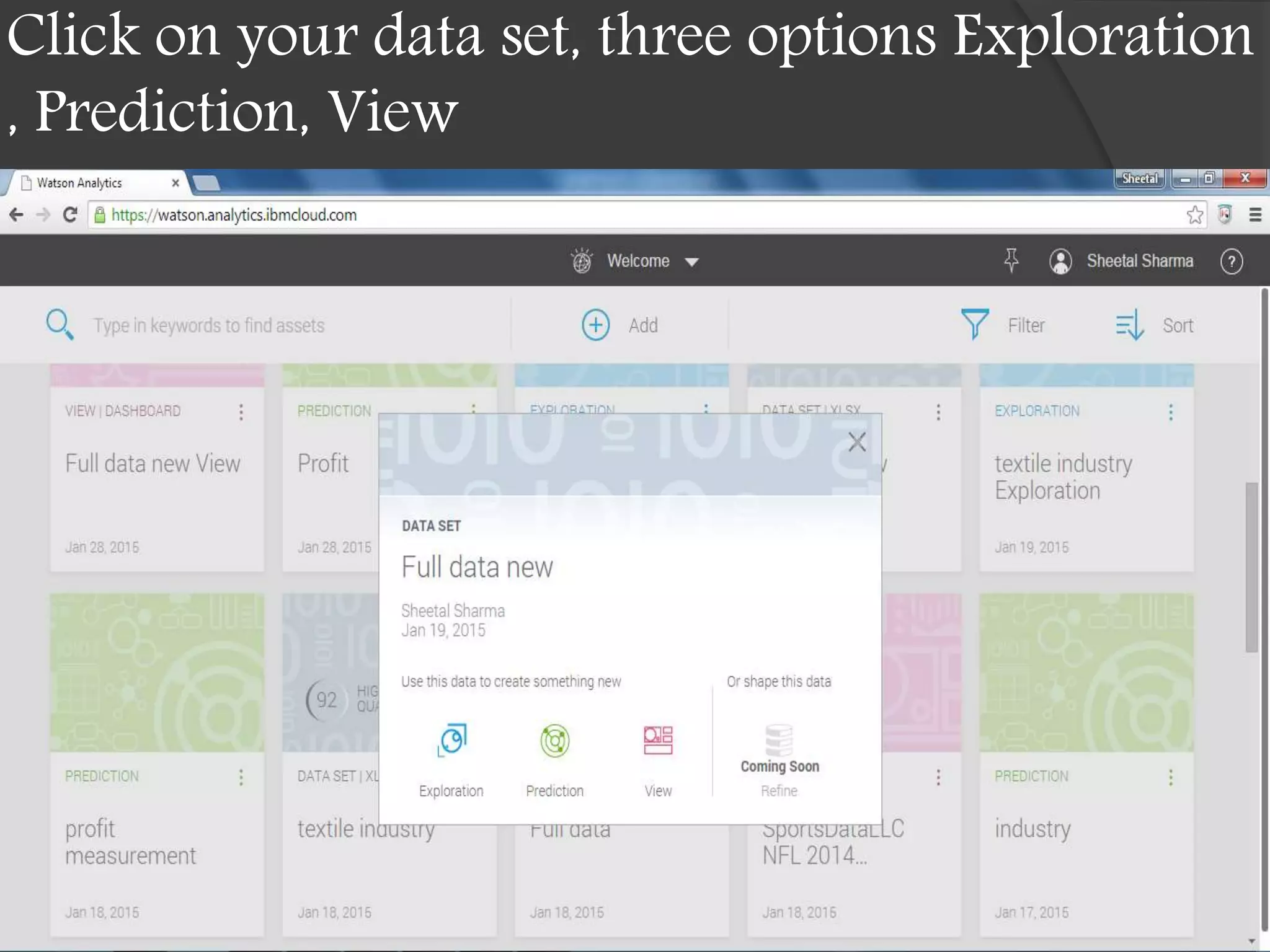 Click on your data set, three options Exploration
, Prediction, View
 