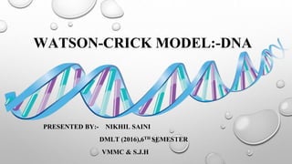 WATSON-CRICK MODEL:-DNA
PRESENTED BY:- NIKHIL SAINI
DMLT (2016),6TH SEMESTER
VMMC & S.J.H
 