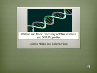 Watson and Crick: Discovery of DNA structure
and DNA Properties
Brooke Noble and Serena Patel
 
