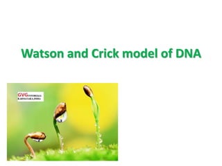 Watson and Crick model of DNA
 