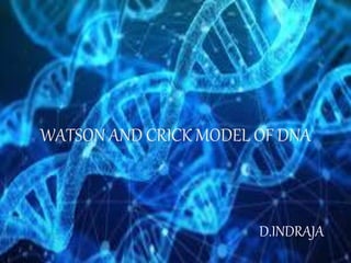 WATSON AND CRICK MODEL OF DNA
D.INDRAJA
 