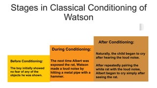 Stages in Classical Conditioning of
Watson
The next time Albert was
exposed the rat, Watson
made a loud noise by
hitting a metal pipe with a
hammer.
During Conditioning:
Naturally, the child began to cry
after hearing the loud noise.
After repeatedly pairing the
white rat with the loud noise,
Albert began to cry simply after
seeing the rat.
After Conditioning:
The boy initially showed
no fear of any of the
objects he was shown.
Before Conditioning:
 