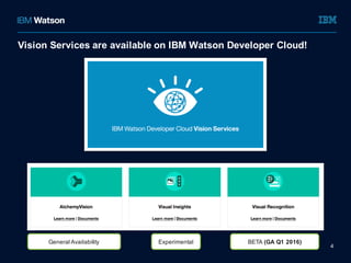 IBM Watson Developer Cloud Vision Services | PDF