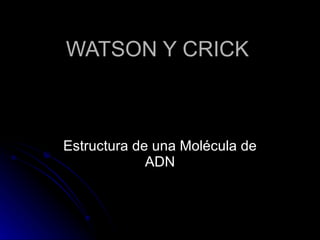 WATSON Y CRICK Estructura de una Molécula de ADN 