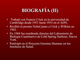 BIOGRAFÍA (II) Trabajó con Francis Crick en la universidad de Cambridge desde 1951 hasta 1953 en el ADN. Recibió el premio Nobel junto a Crick y Wilkins en 1962. En 1968 fue nombrado director del Laboratorio de Biología Cuantitativa de Cold Spring Harbour, Nueva York. Participó en el Proyecto Genoma Humano en los Institutos de Salud. 