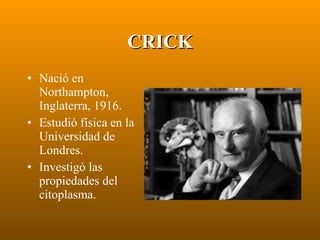 CRICK Nació en Northampton, Inglaterra, 1916. Estudió física en la Universidad de Londres. Investigó las propiedades del citoplasma. 