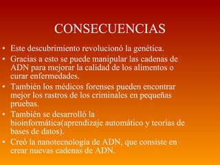 CONSECUENCIAS Este descubrimiento revolucionó la genética. Gracias a esto se puede manipular las cadenas de ADN para mejorar la calidad de los alimentos o curar enfermedades. También los médicos forenses pueden encontrar mejor los rastros de los criminales en pequeñas pruebas. También se desarrolló la bioinformática(aprendizaje automático y teorías de bases de datos). Creó la nanotecnología de ADN, que consiste en crear nuevas cadenas de ADN. 