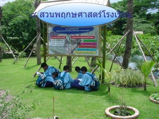 ๔ สวนพฤกษศาสตร์โรงเรียน 