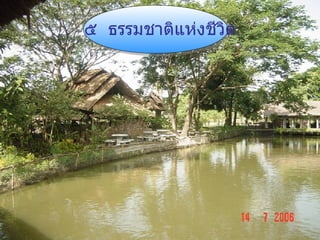 ๕  ธรรมชาติแห่งชีวิต 