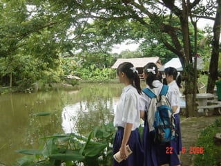 ธรรมชาติแห่งชีวิต 