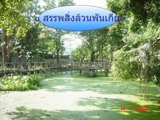 ๖ สรรพสิ่งล้วนพันเกี่ยว 