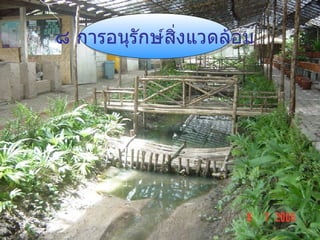 ๘ การอนุรักษ์สิ่งแวดล้อม   