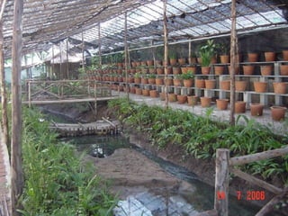 การอนุรักษ์สิ่งแวดล้อม 