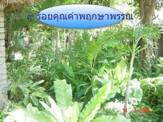 ๙ ร้อยคุณค่าพฤกษาพรรณ 