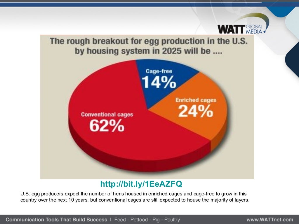 Global poultry market trends and forecasts