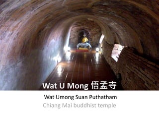 Wat U Mong 悟孟寺
Wat Umong Suan Puthatham
Chiang Mai buddhist temple
 