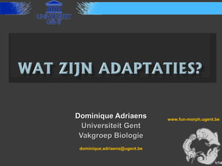 Dominique Adriaens Universiteit Gent Vakgroep Biologie [email_address] www.fun-morph.ugent.be /14 