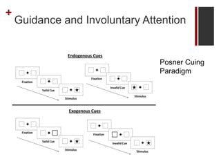 +
Guidance and Involuntary Attention
Posner Cuing
Paradigm
 