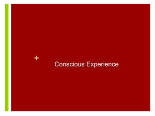 +
Conscious Experience
 