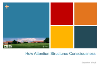 +




    How Attention Structures Consciousness

                                  Sebastian Watzl
 