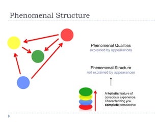 Phenomenal Structure

Phenomenal Qualities
explained by appearances

Phenomenal Structure
not explained by appearances

A holistic feature of
conscious experience.
Characterizing you
complete perspective

 
