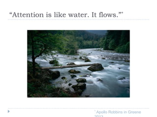 “Attention is like water. It flows.”*

*

Apollo Robbins in Greene

 