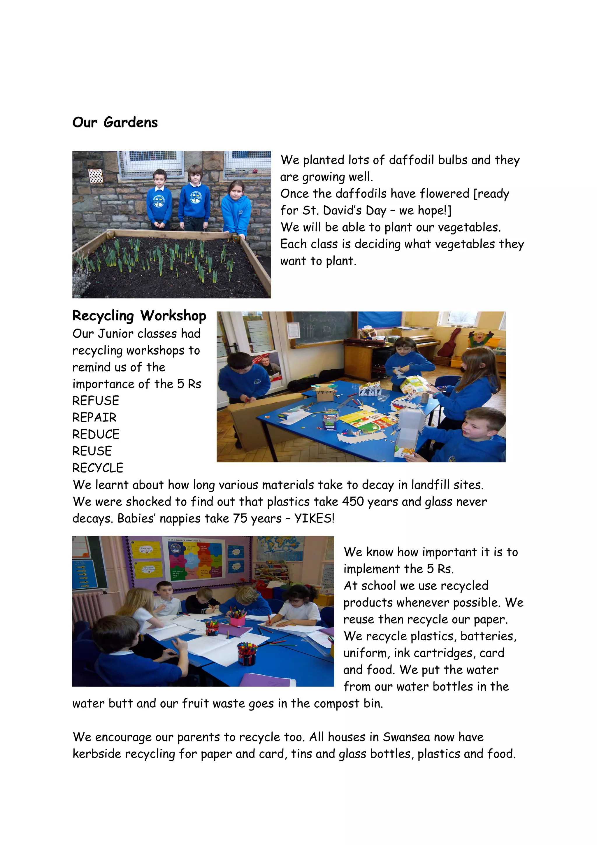 Our Gardens

                                     We planted lots of daffodil bulbs and they
                                     are growing well.
                                     Once the daffodils have flowered [ready
                                     for St. David’s Day – we hope!]
                                     We will be able to plant our vegetables.
                                     Each class is deciding what vegetables they
                                     want to plant.



Recycling Workshop
Our Junior classes had
recycling workshops to
remind us of the
importance of the 5 Rs
REFUSE
REPAIR
REDUCE
REUSE
RECYCLE
We learnt about how long various materials take to decay in landfill sites.
We were shocked to find out that plastics take 450 years and glass never
decays. Babies’ nappies take 75 years – YIKES!

                                               We know how important it is to
                                               implement the 5 Rs.
                                               At school we use recycled
                                               products whenever possible. We
                                               reuse then recycle our paper.
                                               We recycle plastics, batteries,
                                               uniform, ink cartridges, card
                                               and food. We put the water
                                               from our water bottles in the
water butt and our fruit waste goes in the compost bin.

We encourage our parents to recycle too. All houses in Swansea now have
kerbside recycling for paper and card, tins and glass bottles, plastics and food.
 