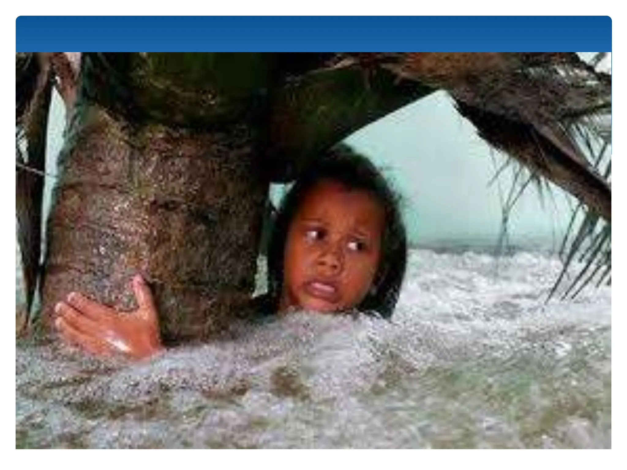 Wave.pptx english literature srilankan context | PPT