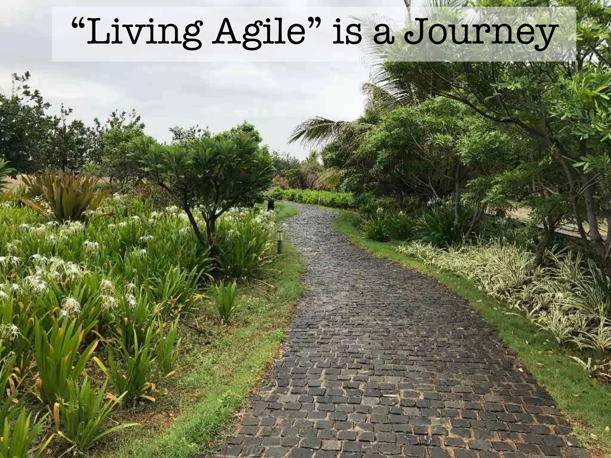 “Living Agile” is a Journey
 