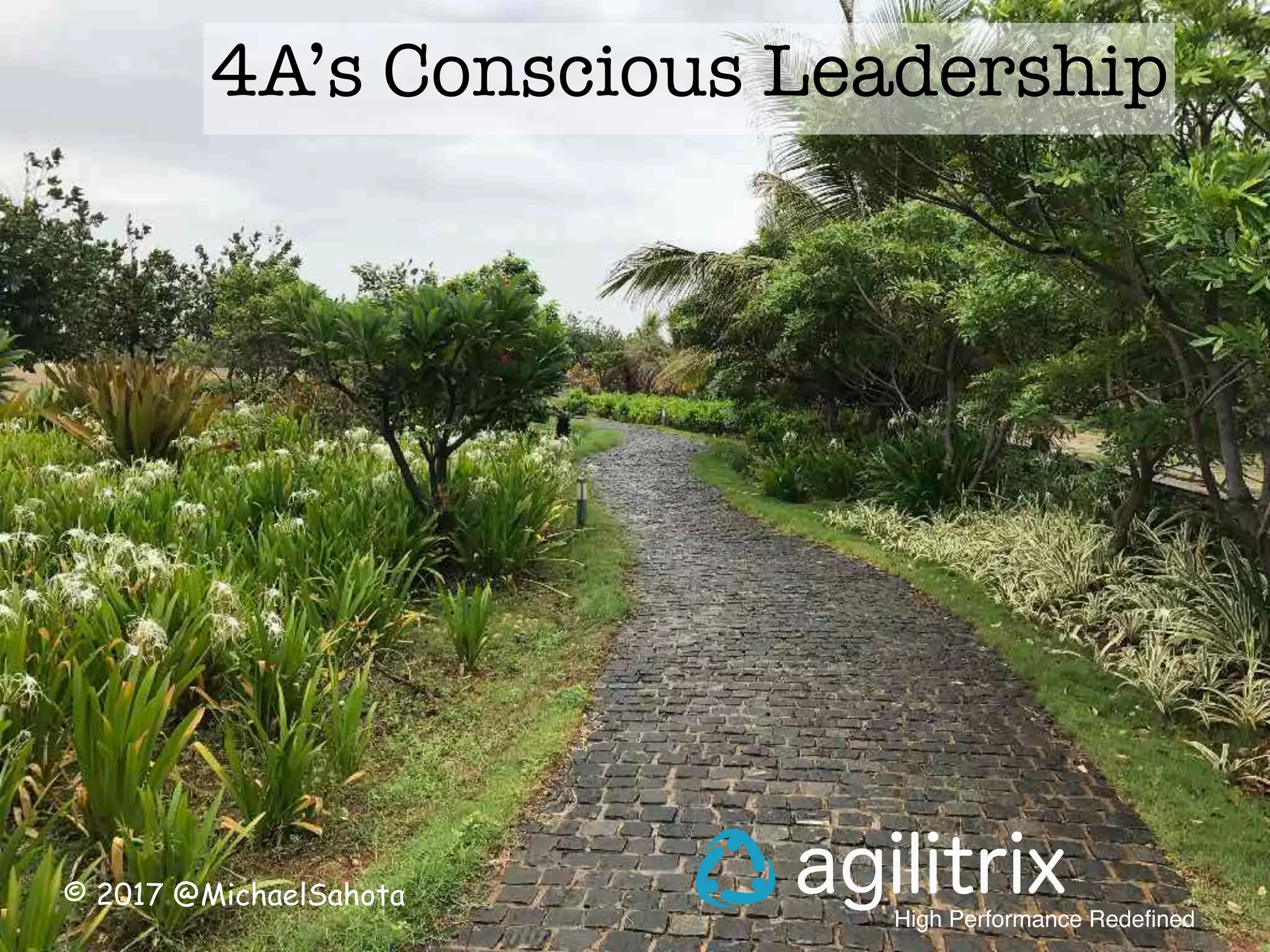 © 2017 @MichaelSahota
High Performance Redefined
agilitrix
4A’s Conscious Leadership
 