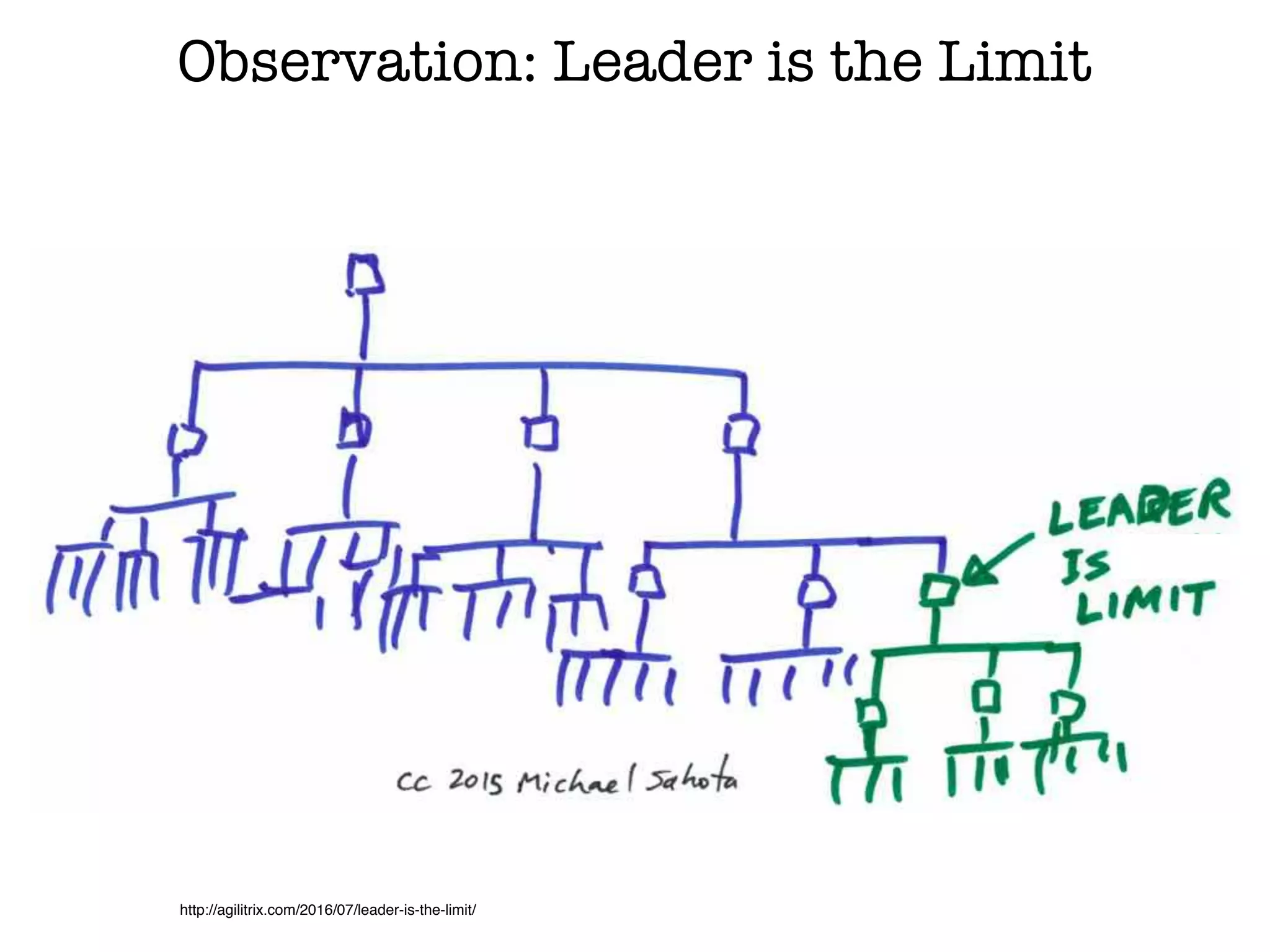 Observation: Leader is the Limit
http://agilitrix.com/2016/07/leader-is-the-limit/
 
