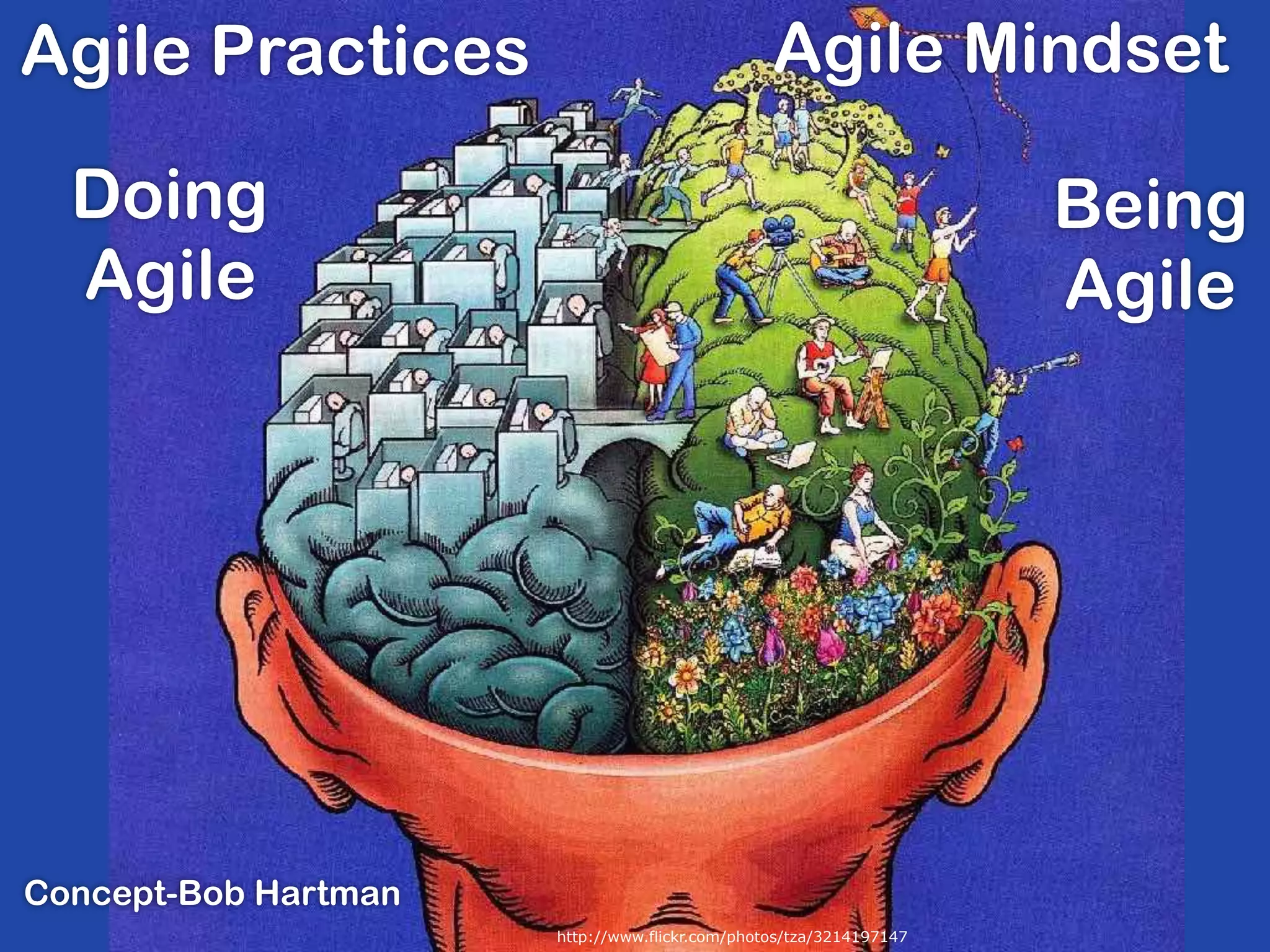 Agile Mindset
http://www.flickr.com/photos/tza/3214197147
Doing
Agile
Being
Agile
Agile Practices
Concept-Bob Hartman
 
