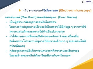 กล้องจุลทรรศน์อิเล็กตรอน (Electron microscope)
แมกซ์นอลล์ (Max Knoll) และเอินสท์รุสกา (Ernst Ruska)
- เป็นผู้สร้าง กล้องจุลทรรศน์อิเล็กตรอน
- โดยการควบคุมความเร็วของอิเล็กตรอนให้มีค่าสูง ๆ จากการใช้
สนามแม่เหล็กและสนามไฟฟ้าเป็นตัวควบคุม
- ทําให้ความยาวคลื่นของอิเล็กตรอนน้อยกว่าแสง เมื่อคลื่น
อิเล็กตรอนไปกระทบอนุภาคที่มีขนาดเล็กมาก ๆ จะสะท้อนได้ดี
กว่าคลื่นแสง
- กล้องจุลทรรศน์อิเล็กตรอนสามารถศึกษารายละเอียดของ
โครงสร้างขนาดเล็กได้ละเอียดถึงระดับนาโนเมตร
 