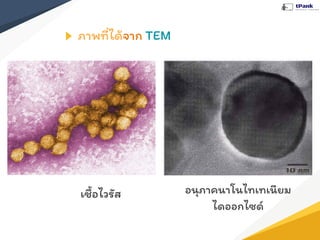 ภาพที่ได้จาก TEM
เชื้อไวรัส อนุภาคนาโนไทเทเนียม
ไดออกไซด์
 