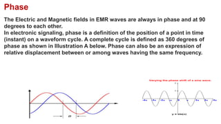 Electromagnetic Wave 