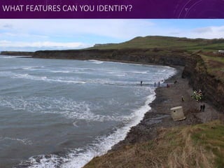 WHAT FEATURES CAN YOU IDENTIFY?
 