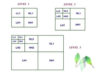 LL1
LH1
HL1
HH1
HL1
HH1LH1
LH1 HH1
HL1
HH2
HL2
LH2
HH2LH2
LL2 HL2
LL3 HL3
LH3 HH3
LEVEL 1 LEVEL 2
LEVEL 3
 