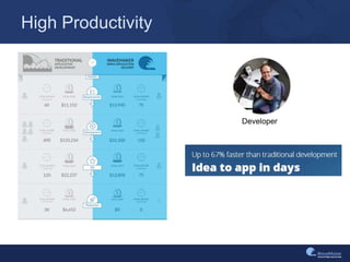 High Productivity
Developer
 