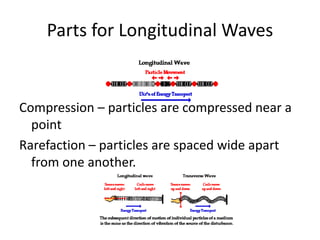 Parts for Longitudinal Waves
Compression – particles are compressed near a
point
Rarefaction – particles are spaced wide apart
from one another.
 