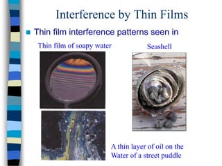 Interference by Thin Films
 Thin film interference patterns seen in
Thin film of soapy water
A thin layer of oil on the
Water of a street puddle
Seashell
 