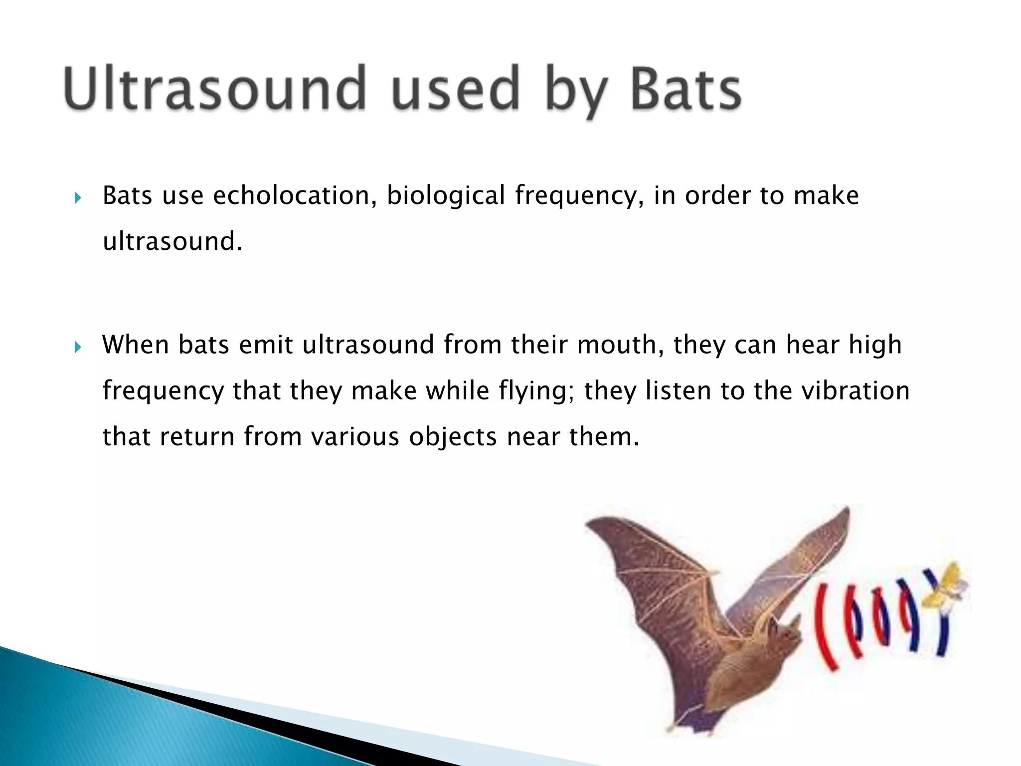    Bats use echolocation, biological frequency, in order to make
    ultrasound.



   When bats emit ultrasound from their mouth, they can hear high
    frequency that they make while flying; they listen to the vibration
    that return from various objects near them.
 