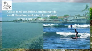 Assess local conditions, including tide,
swell direction, and wind, for optimal
surfing opportunities.
 